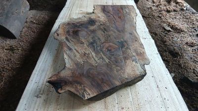 Black Walnut A Grade Slab with Pattern   1888-61-2 RF1S K3