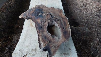 Persian Walnut A Grade Epoxy Slab   1790-1-1 RF1S K3