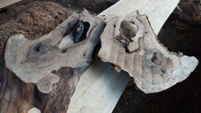 Persian Walnut SLAB_Epoxy  Mirror Matched Set 1790-1-1 &amp; 1790-1-2 RF1S K3 ELE6