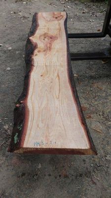 Dawn Redwood A Grade Slab Wet Sawn   1983-2-1 RF1S Yard