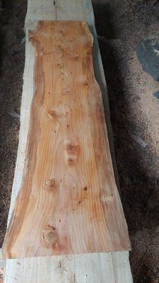 Himalayan Cedar A Grade Slab Air Dry   1986-2-1 RF1S Yard