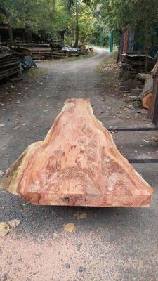 Dawn Redwood A Grade Slab Air Dry   1887-19-1 RF1S Yard
