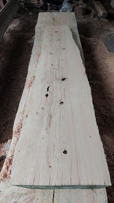 Macrocarpa A Grade Slab Wet Sawn   1888-86-1 RF1S Yard