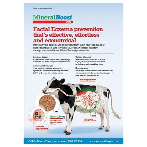 MineralBoost Zinc Tech Sheet Thumbnail