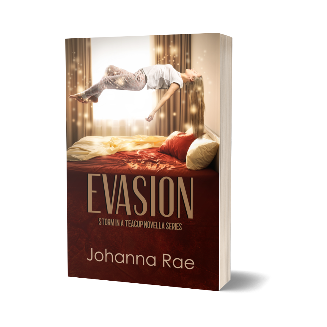 Evasion - A Storm in a Teacup Novella (paperback)