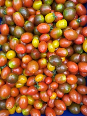 Seasonal Vegetable Box - Large