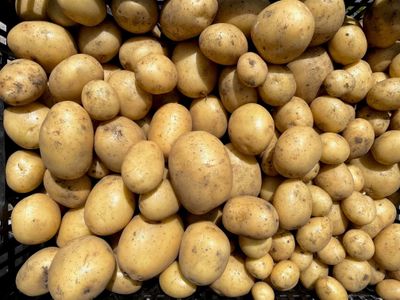 Seasonal Vegetable Box - Medium