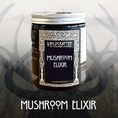Mushroom Elixir 120g - by Wildcrafted