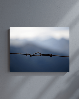 Forget Me Knot