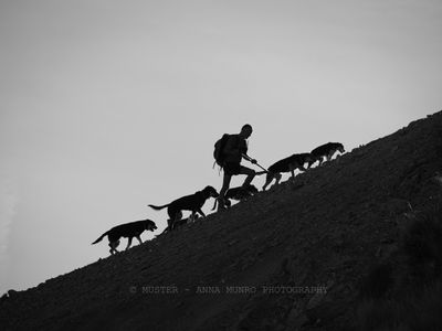 &#039;Man and his Dogs&#039;