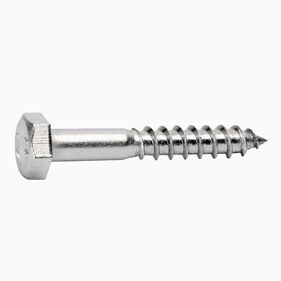 Coach Screws Hex 316 Stainless