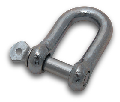 D Shackle 316 Stainless