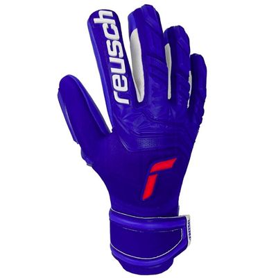 Attrakt Freegel Silver GK Gloves - BLUE