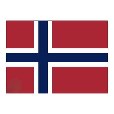 Norway Flag LARGE