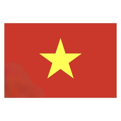 Vietnam Flag LARGE