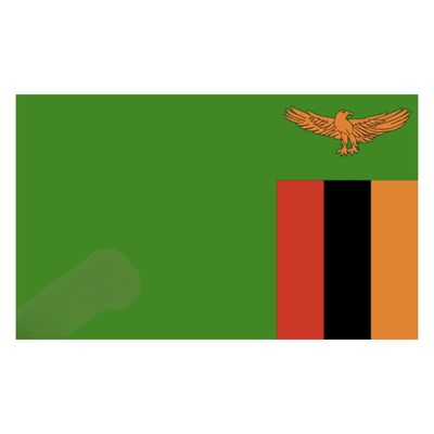 Zambia Flag LARGE