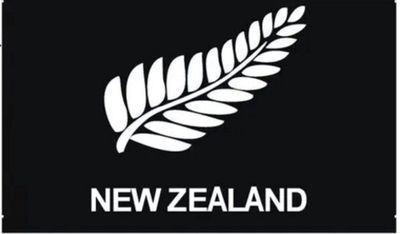 NZ Fern Flag LARGE