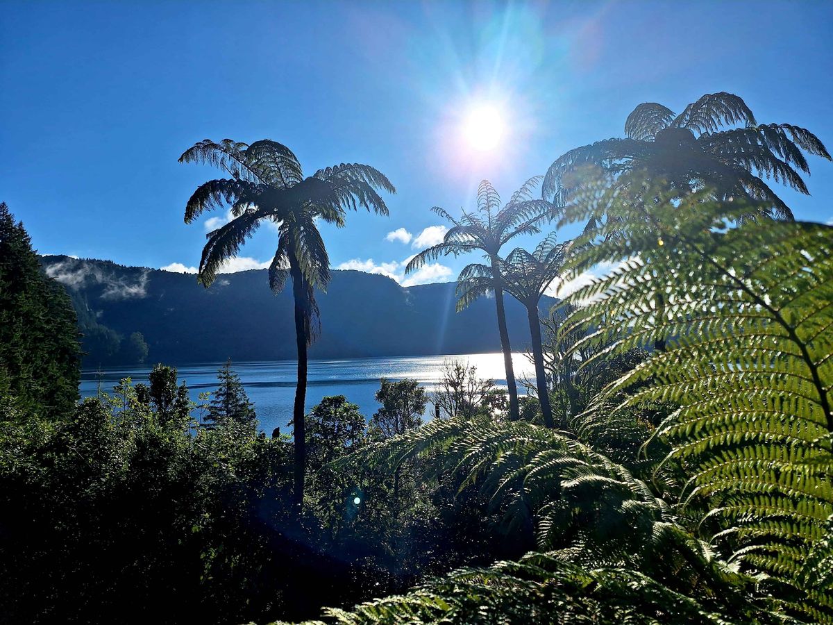 RAMBLES & RIDES | Backyard NZ