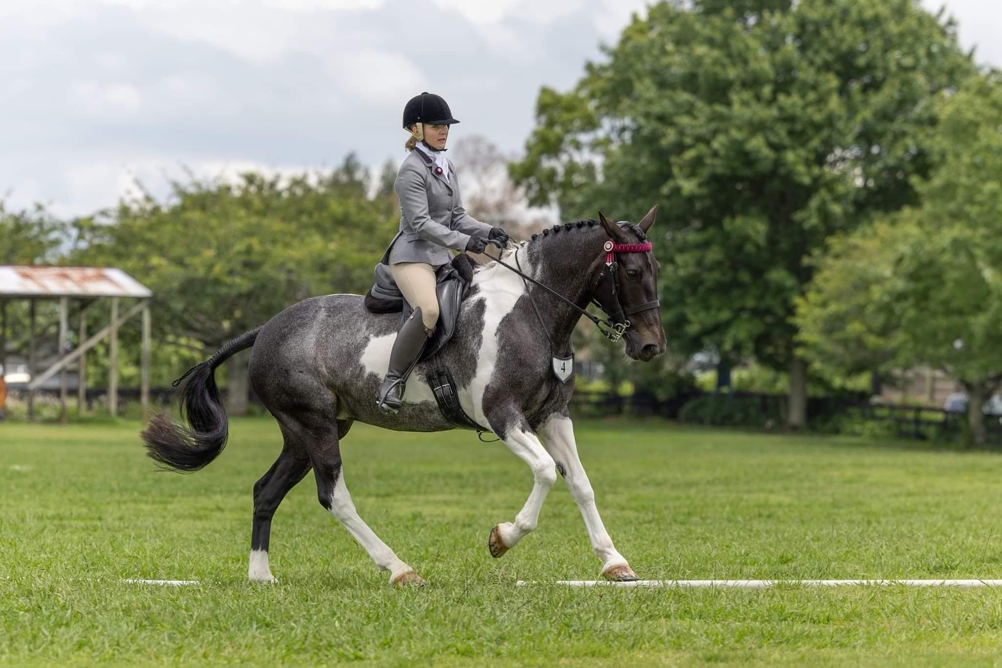 Sarah Marshall and Queen Bee at the North Island Pinto Champs 2025