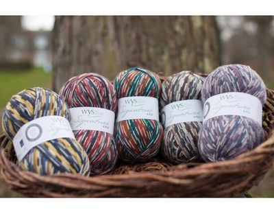 West Yorkshire Spinners, Signature Fingering/4ply - Country Birds 100gm ball