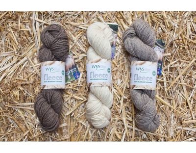 West Yorkshire Spinners BFL Aran/10ply Yarn Natural Colours
