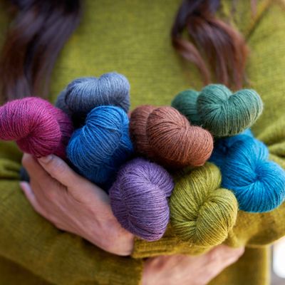 WYS Fleece BFL DK/8ply Yarn