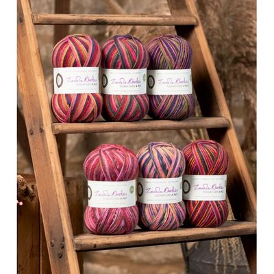 West Yorkshire Spinners Signature Fingering/4ply Zandra Rhodes