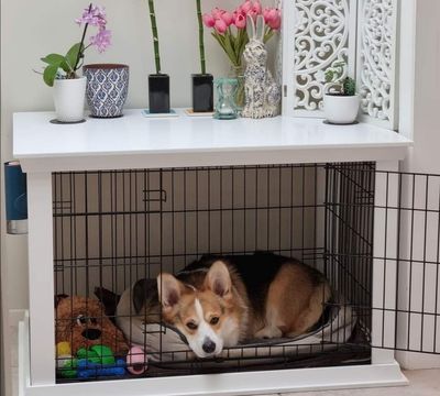 Large Crate Surround