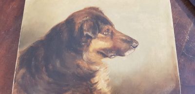 Nils Oberg - Portrait of a Dog