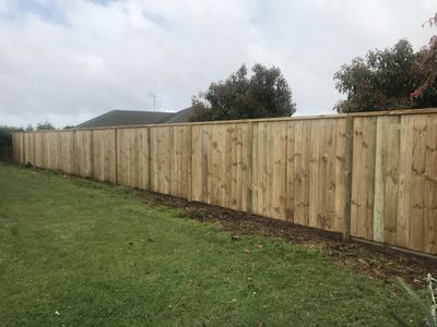 Kiwi Classic Plus Fence