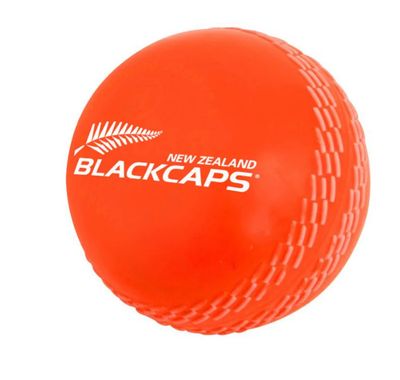 NZC Cricket Day Glo Ball