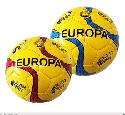 Silver Fern Soccer Ball