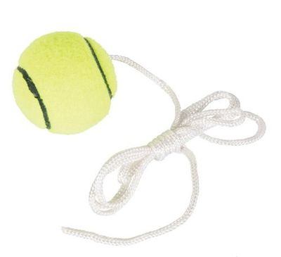 Replacement Swing Ball On String