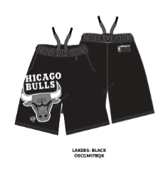 NBA Chicago Bulls Mesh Short