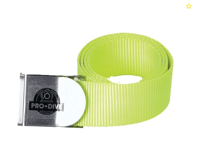 Pro Dive Belt Fluro