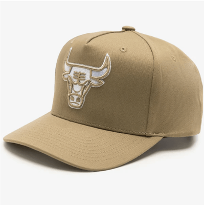 NBA Seasonal Pro Crown Snapback Bulls