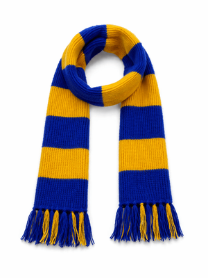 CHB College Scarf