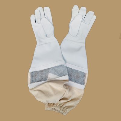 Gloves (ventilated)