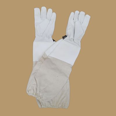 Gloves (non ventilated) - Adult