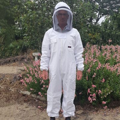 Bee Suit - Mens White