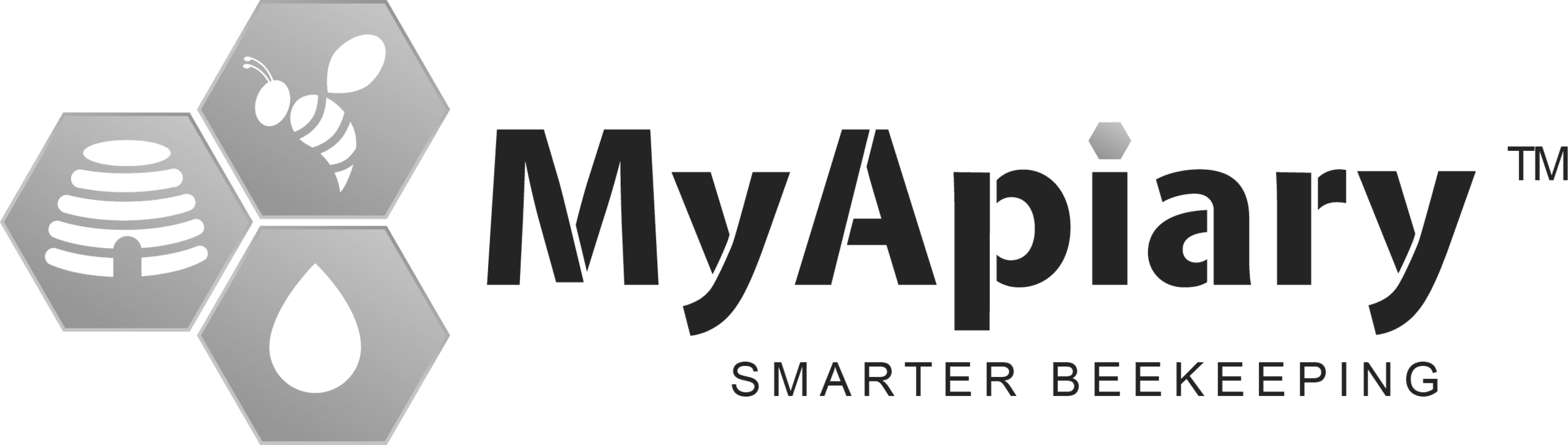 SaaS client CFO 4 U works with. VCFO services for SaaS and deep-tech start-ups. My Apiary logo.