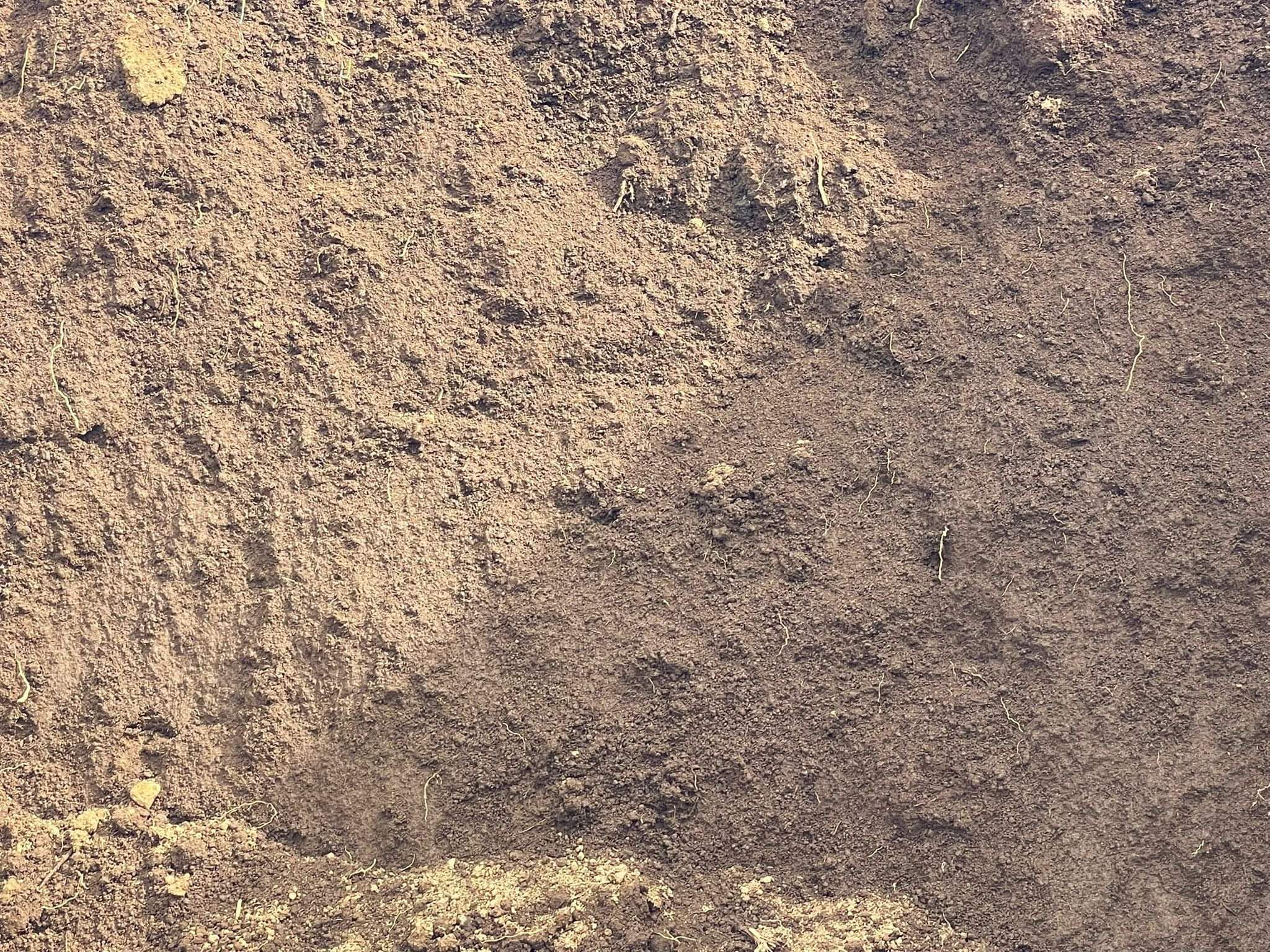 Top Soil Unscreened