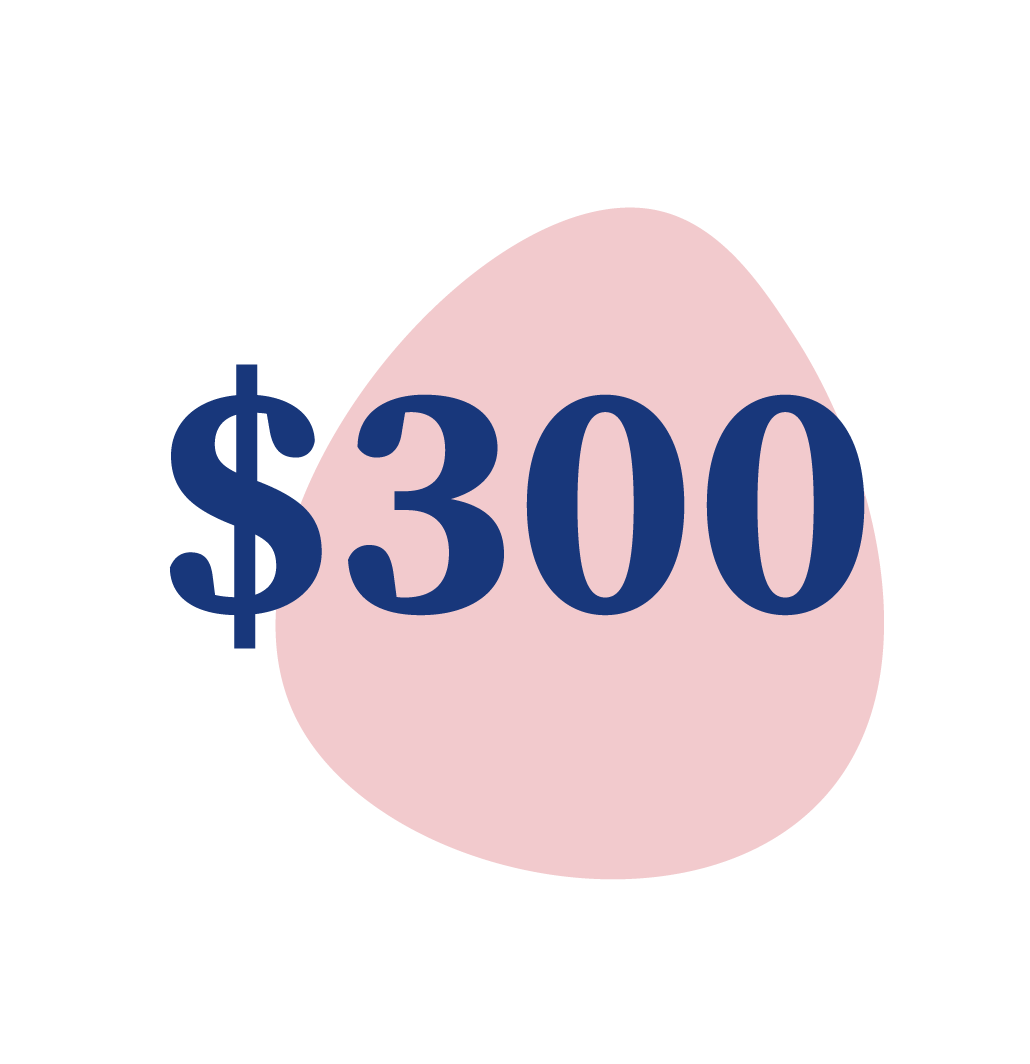 $300 Donation to Loving Arms
