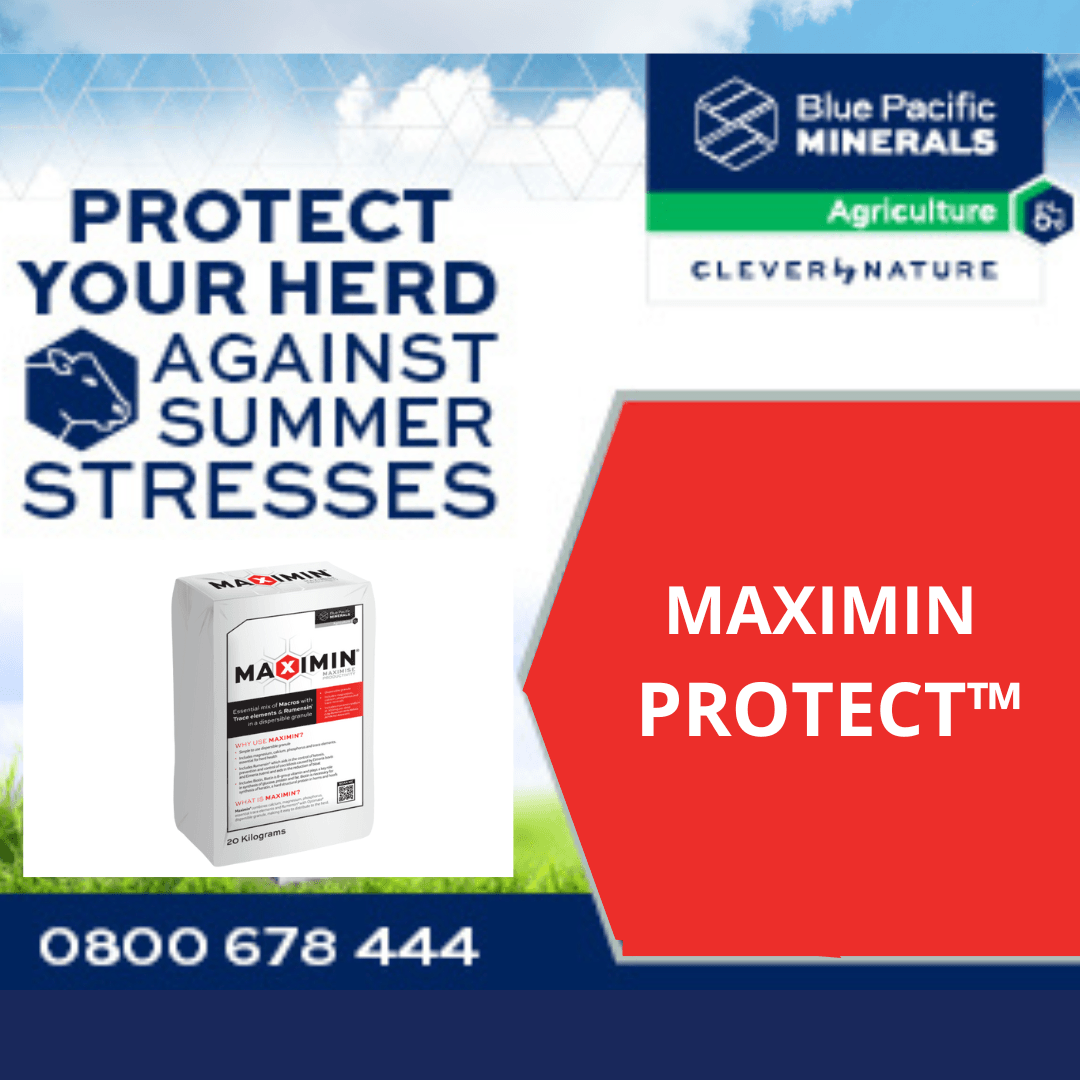 Maximin Protect for summer