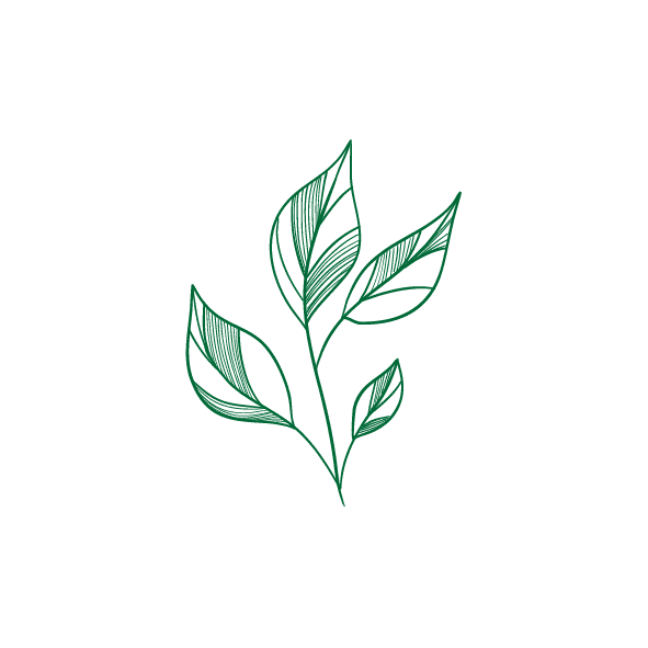 Moneyworks values integrity