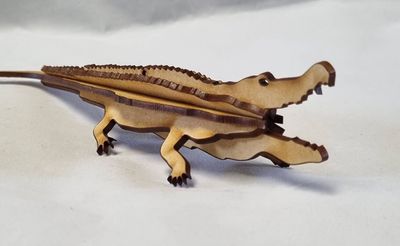Crocodile 3D
