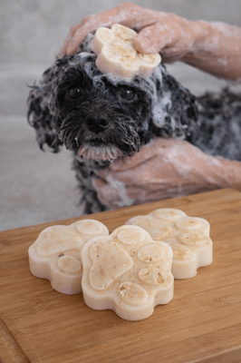 Dog Shampoo Bar