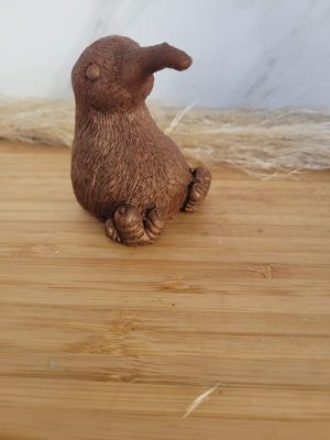 NZ Kiwi Souviner Soap