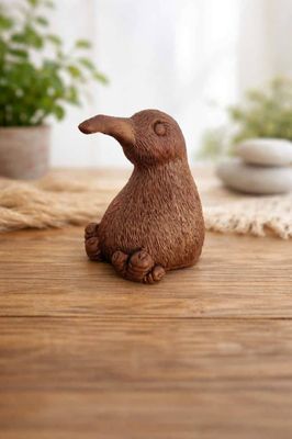 NZ Kiwi Souviner Soap