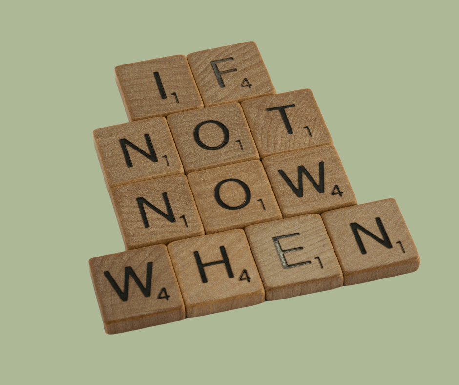 quote "if not now when"